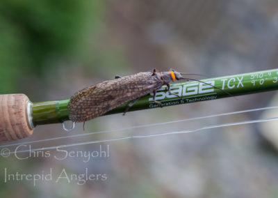 2010_04_19_IMG_0359