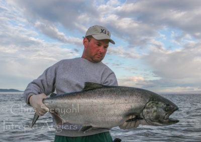 salmon_12
