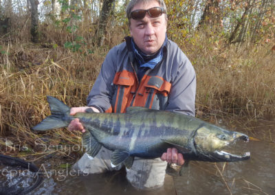 salmon_21