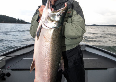 salmon_28