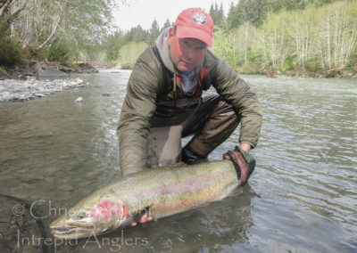 steelhead12