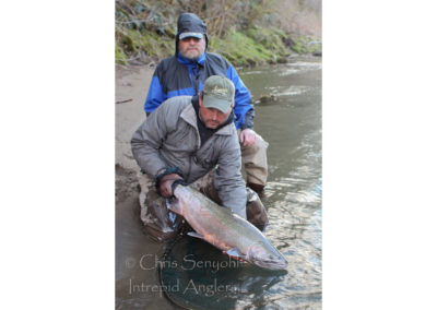 steelhead14