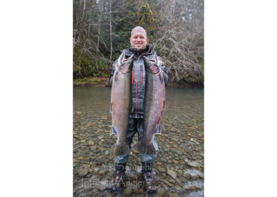 steelhead17