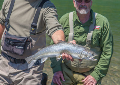 trout_05