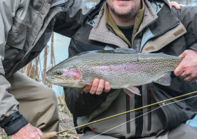 trout_09
