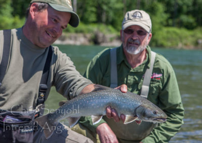 trout_11