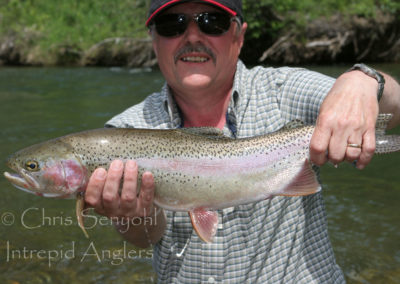 trout_15