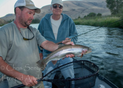 trout_18