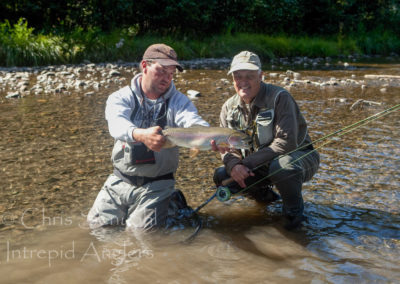 trout_21
