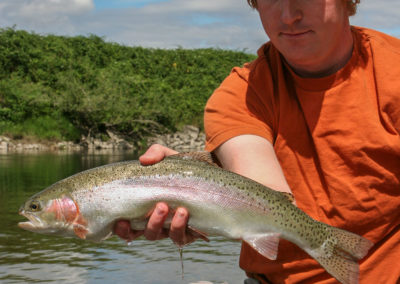 trout_37